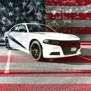 Meet your Posher, Cody